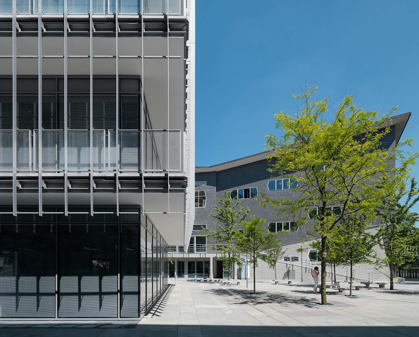 Polimi